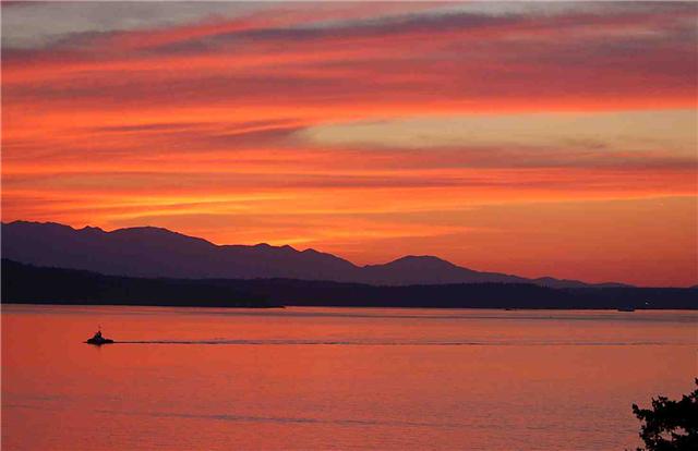 Sunset from our bluff